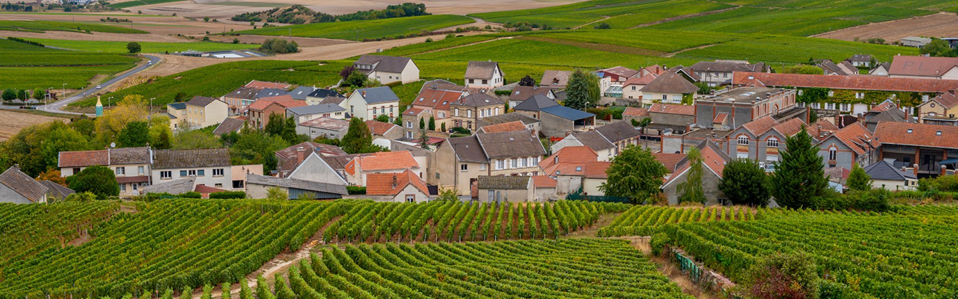 Etude des liens entre des cancers pédiatriques et résidence à proximité de vignes